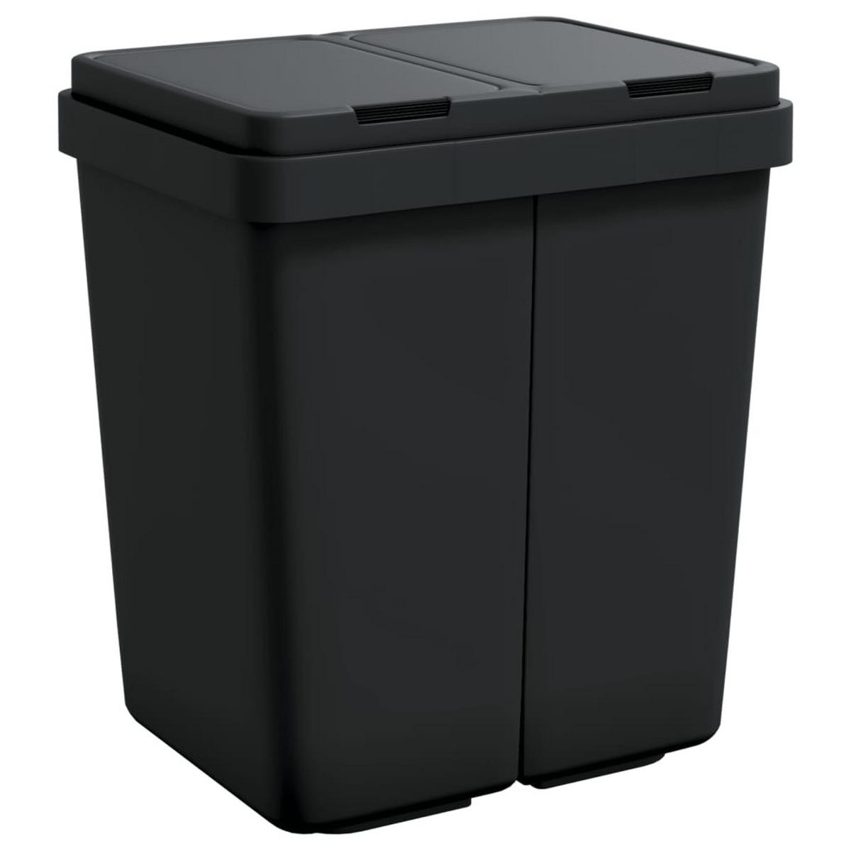 MÜLLEIMER 2 Fächer Küche 2x25L Anthrazit - Anthrazit, Kunststoff (43.5/48.5/32.5cm) - DELUKE