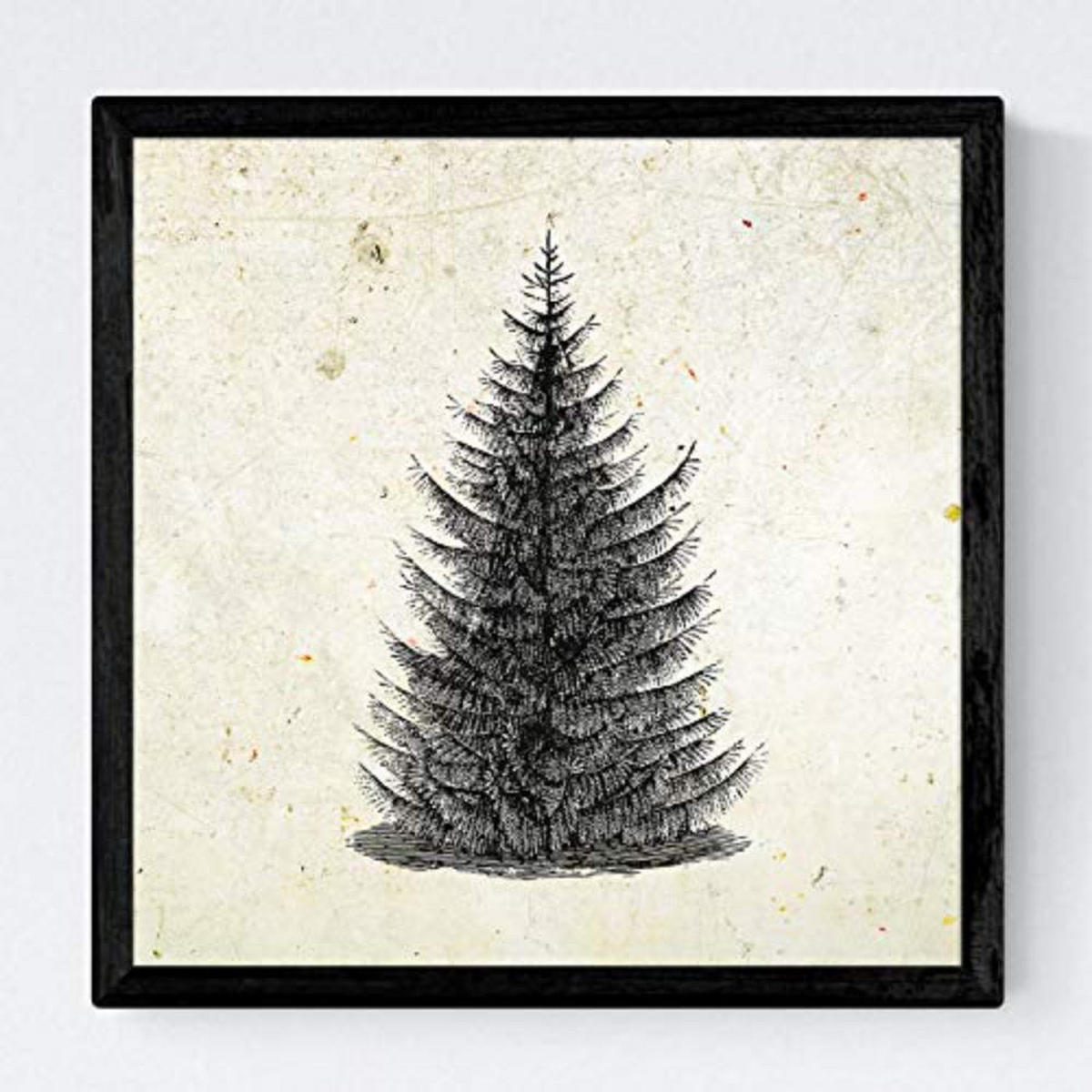 POSTER Set mit 4 Blättern der Bäume in Alten Papierhintergrund Jahrgang 20x20cm Rahmenlos - Klar, Papier (20/3cm) - Nacnic