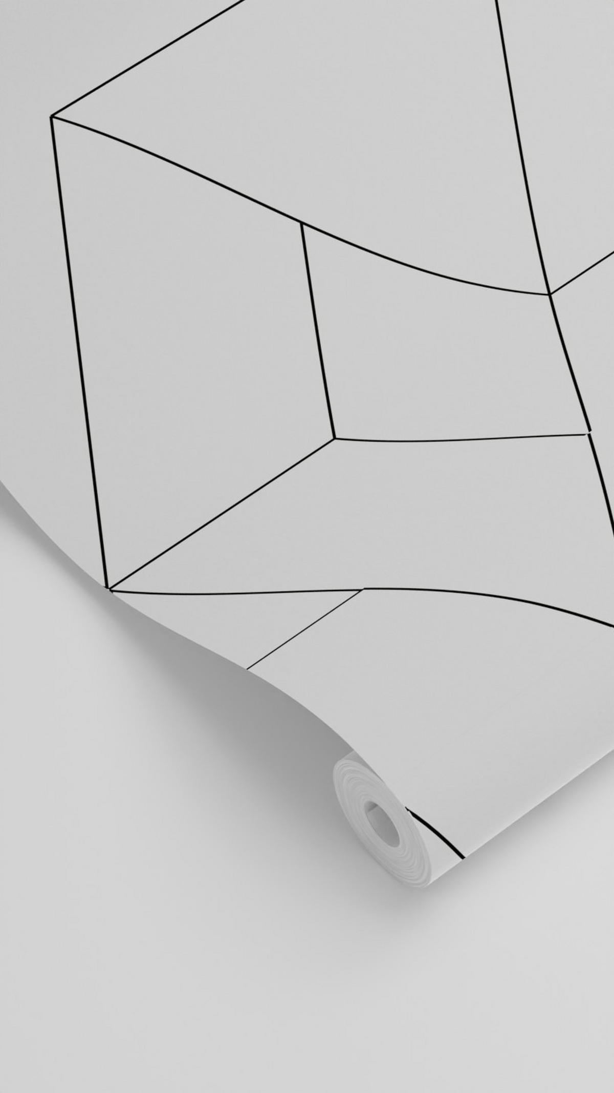 TAPETE grafische Linien 53 cm x 10.05 m - Schwarz, Papier (53/1000cm) - ESTAhome
