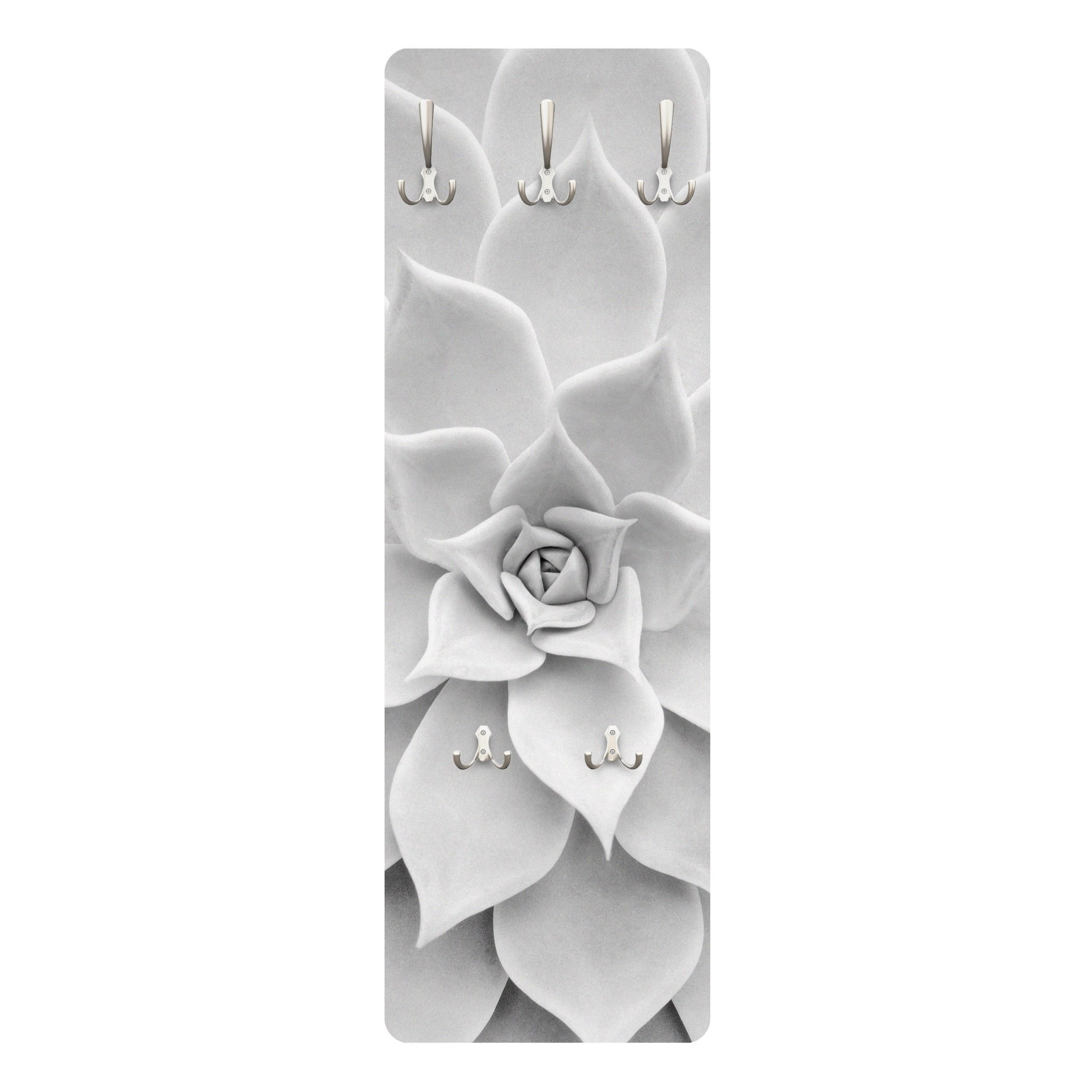 WANDGARDEROBE - Kaktus Sukkulente 34/105 cm - Schwarz, Holzwerkstoff (34/105/1.6cm) - Bilderwelten