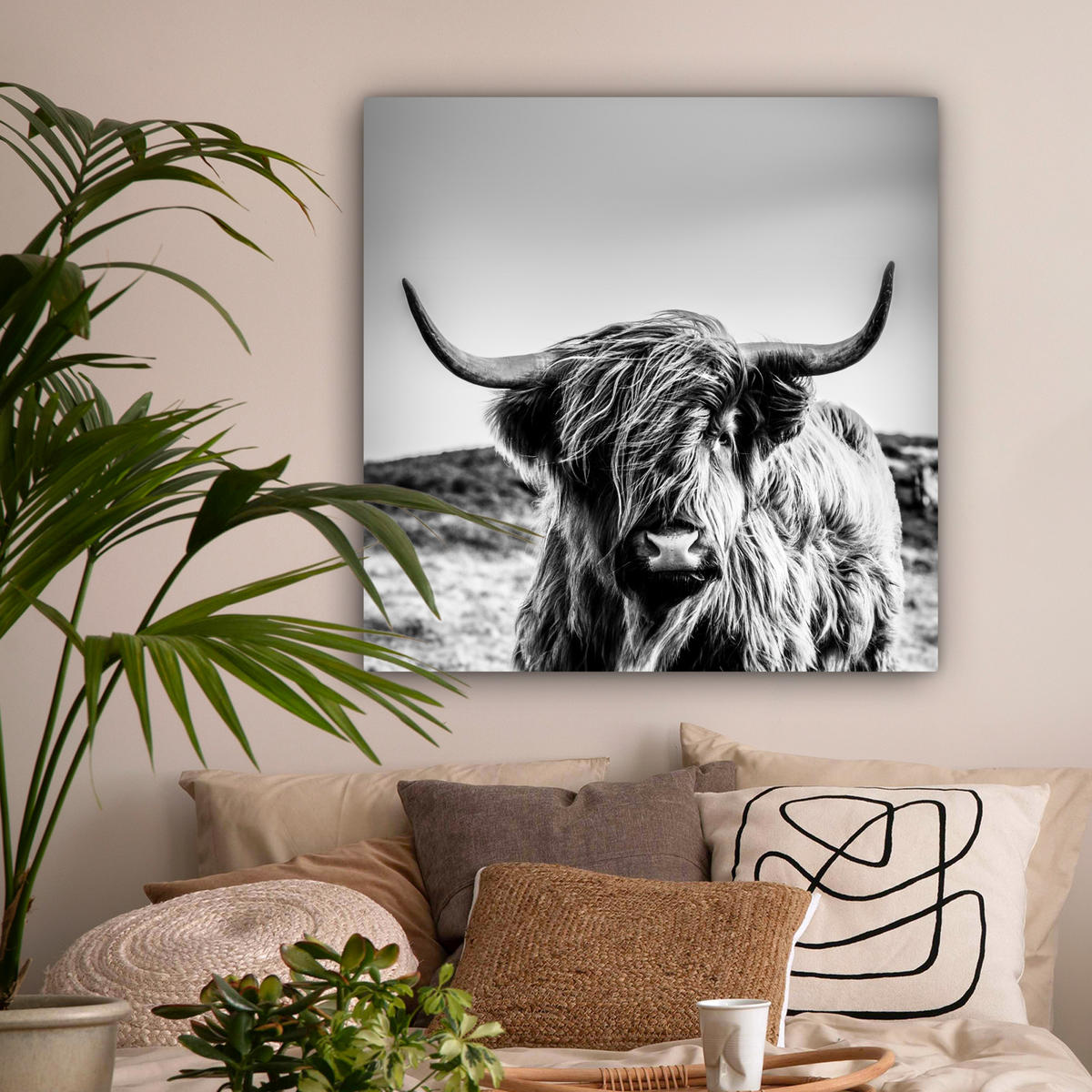 OBRAZ NA PLÁTNĚ Kráva - Skotský horal - Černá - Bílá - Zvíře - Příroda - Divoká zvěř 90x90 cm - černá, textil (90/90cm) - MuchoWow