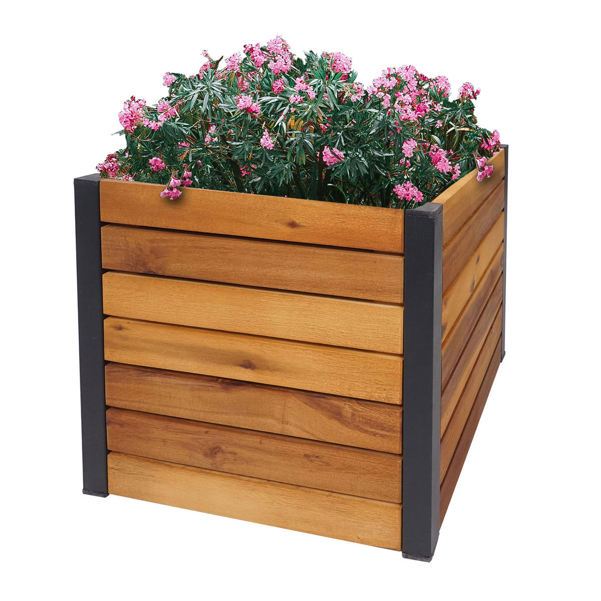PFLANZKASTEN Braun - Braun, Holz (34/32/34cm) - MCW