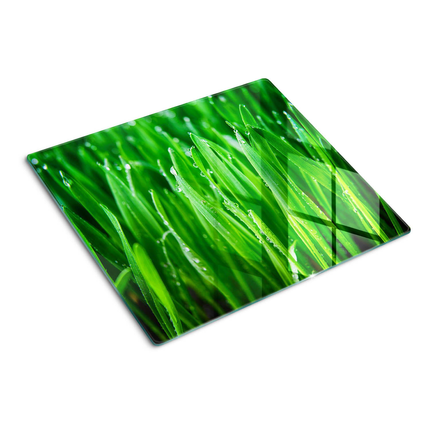 GLASPLATTE 60x52 cm Gras - Grün, Glas (60/0.4/52cm) - TULUP