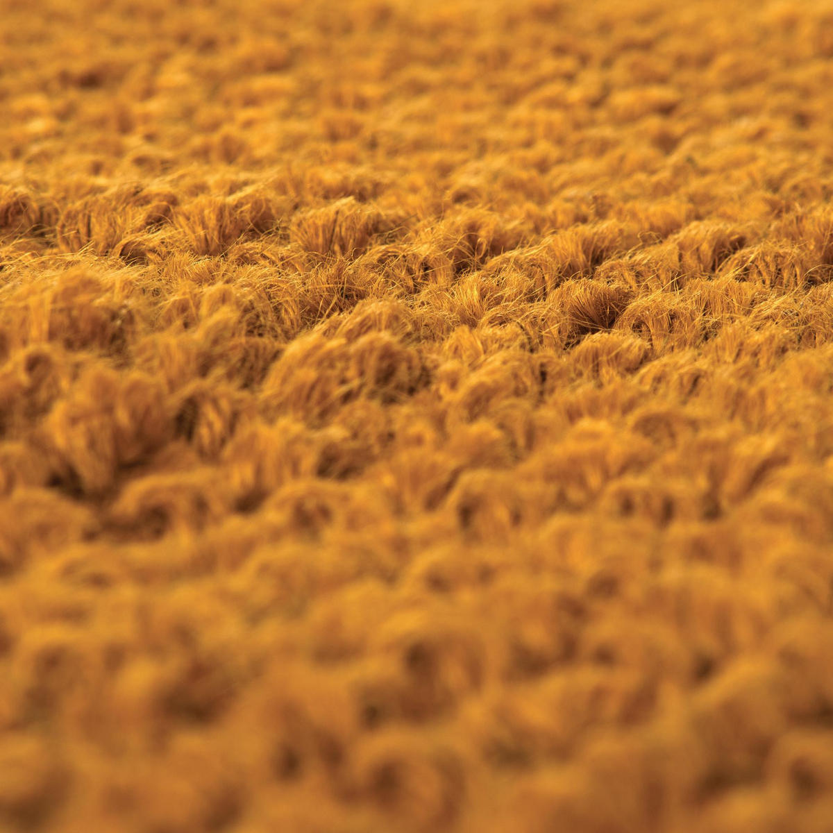 TEPPICH Elios senffarben 60 x 200 cm - Orange, Textil (60/200cm) - Vivaraise