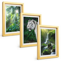 BILDER SET 3er Set - 20x30 cm Goldrahmen - Dschungeltigerwasserfall - Goldfarben, Kunststoff (20/30cm) - TULUP