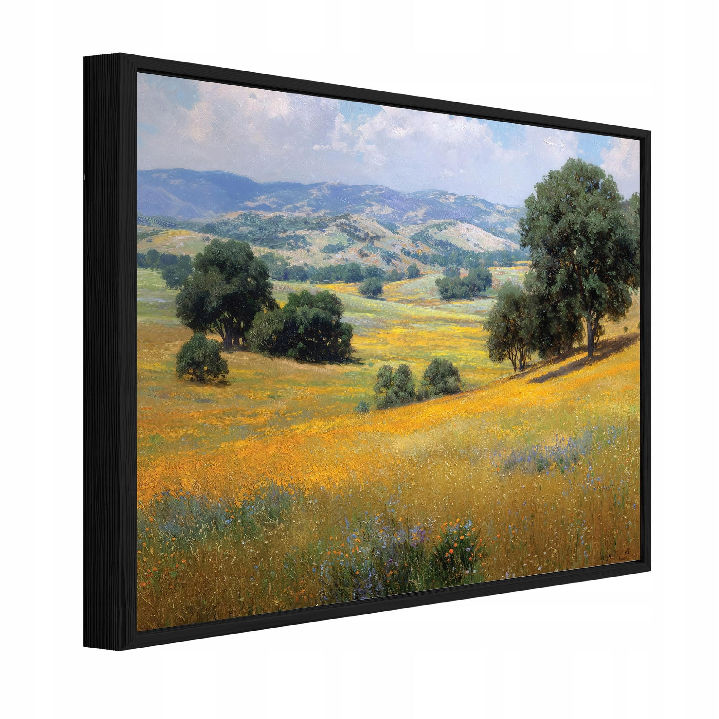 Wallarena ZARÁMOVANÉ obrazy krajina pole béžová 60x40 cm