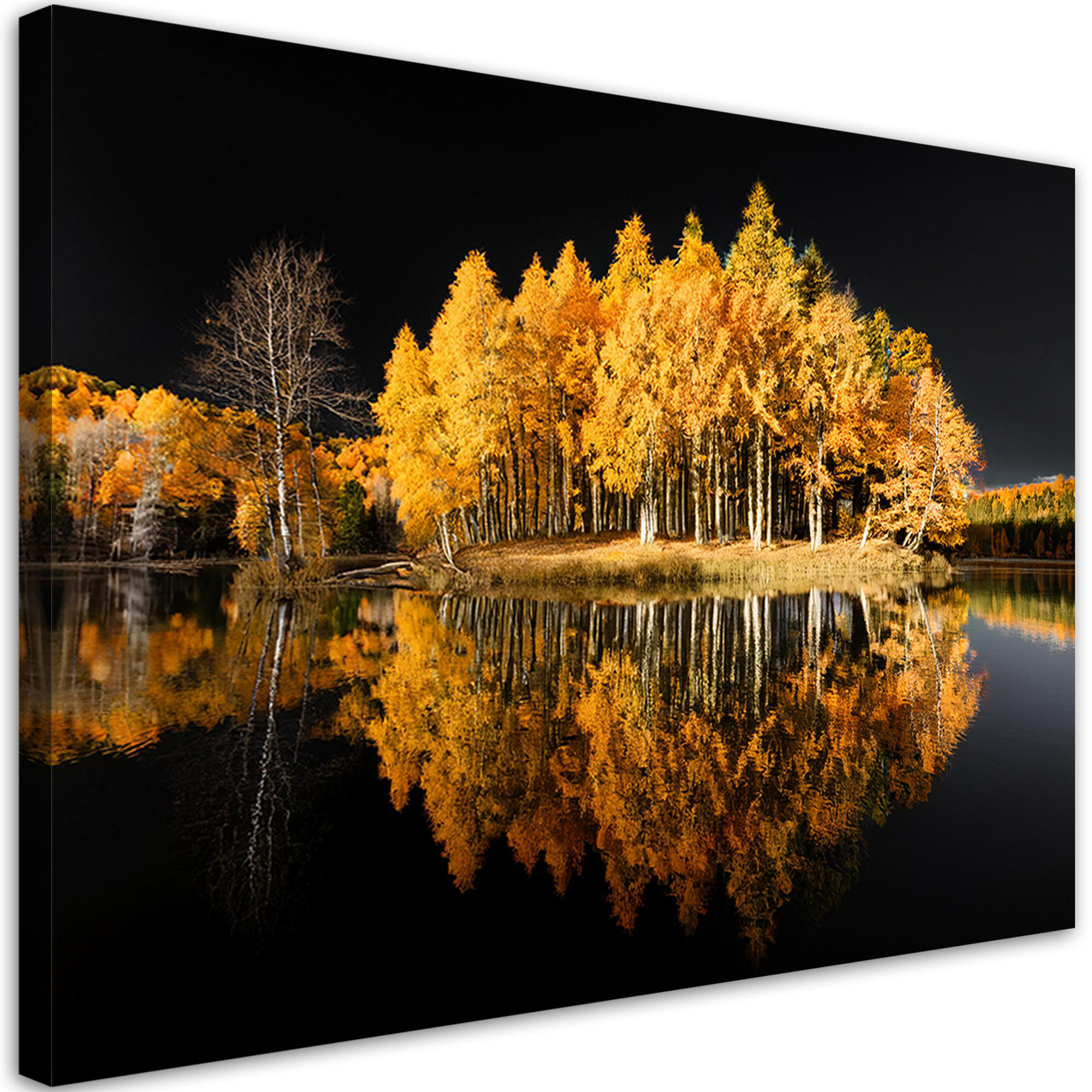 WANDBILD waldbäume herbstgold - Goldfarben, Textil (60/40cm) - Feeby