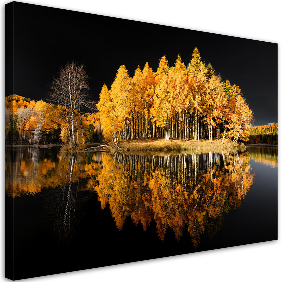 WANDBILD waldbäume herbstgold - Goldfarben, Textil (60/40cm) - Feeby