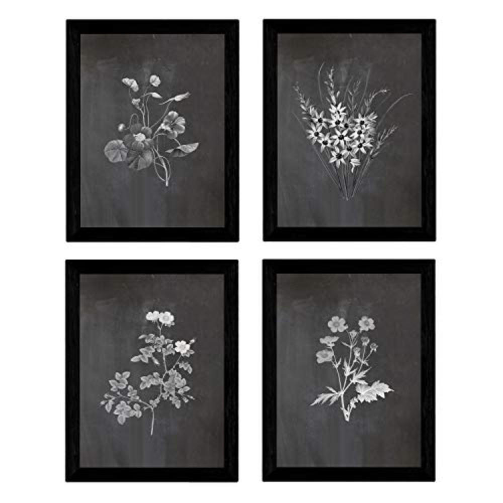 POSTER Set mit 4 Botanischen Stils Sensitive A3 Rahmenlos - Klar, Papier (29.7/3cm) - Nacnic