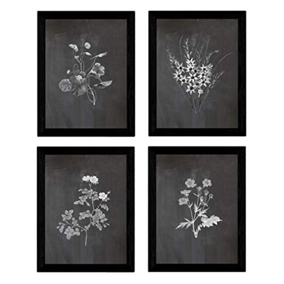 POSTER Set mit 4 Botanischen Stils Sensitive A3 Rahmenlos - Klar, Papier (29.7/3cm) - Nacnic