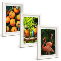 BILDER SET 3er Set - 20x30 cm Weißer Rahmen - Fruchtige Akzente in den Tropen - Weiß, Kunststoff (20/30cm) - TULUP