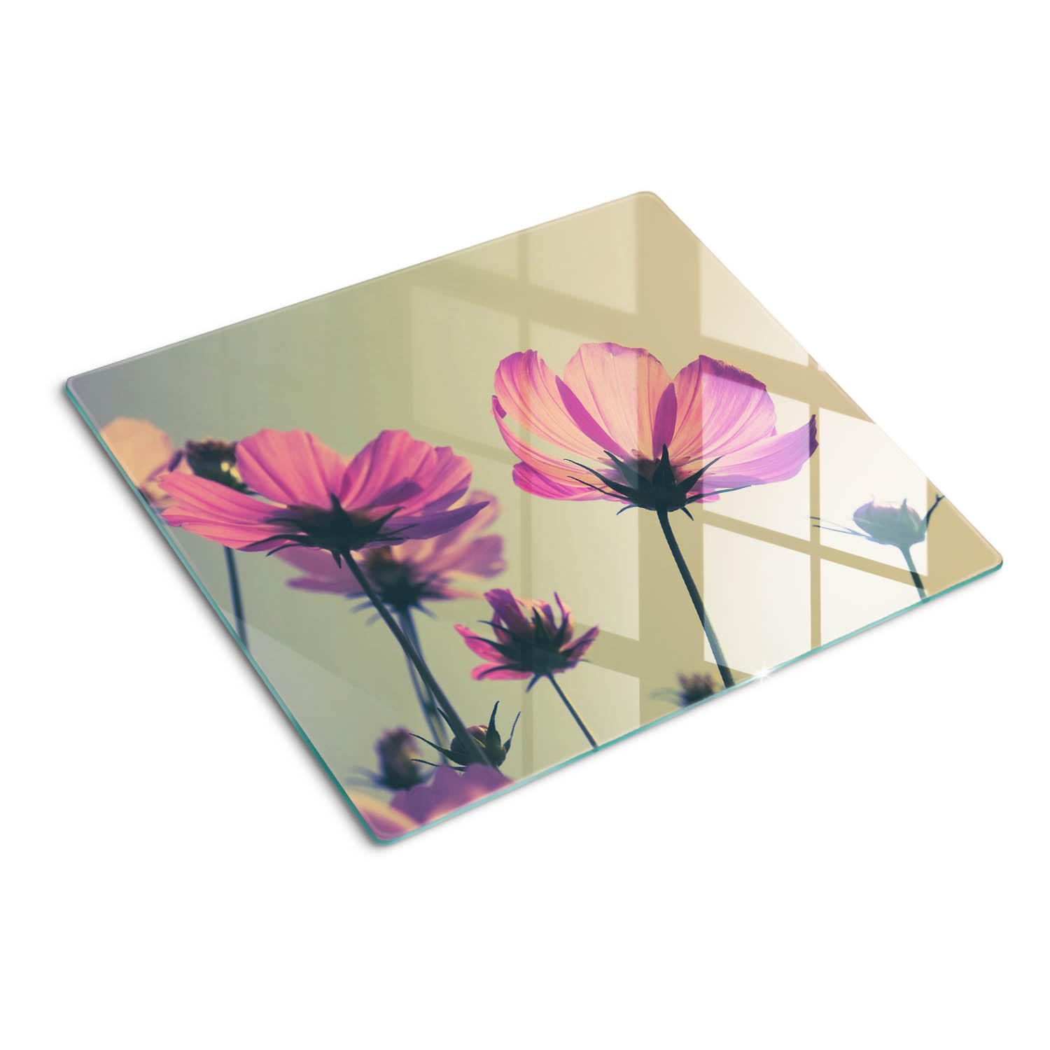 GLASPLATTE 60x52 cm Rosa Blüten - Pink, Glas (60/0.4/52cm) - TULUP