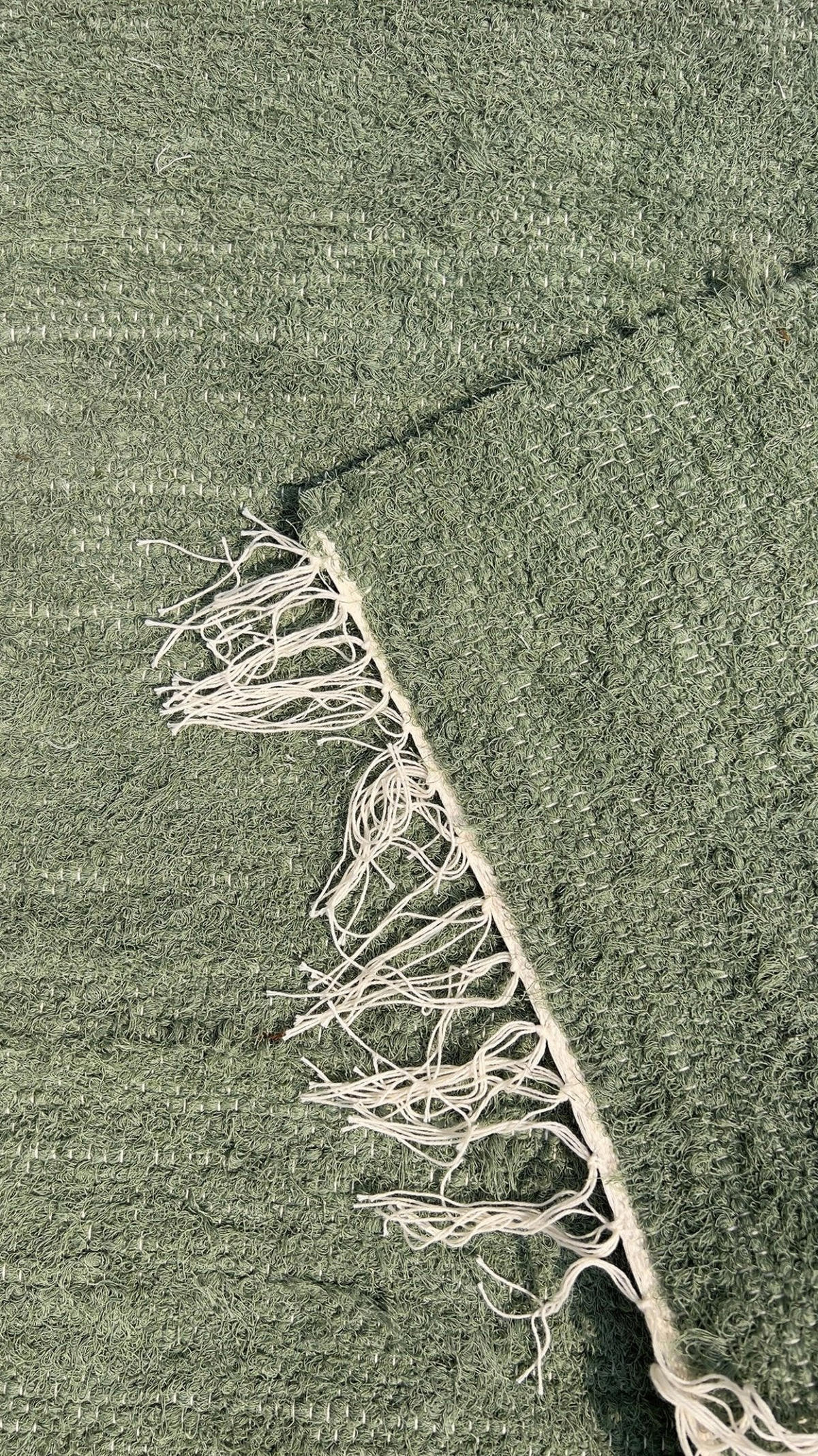 TEPPICH aus recycelter Baumwolle handgewebt grün - Grün, Naturmaterialien (120/170cm) - AFK Living