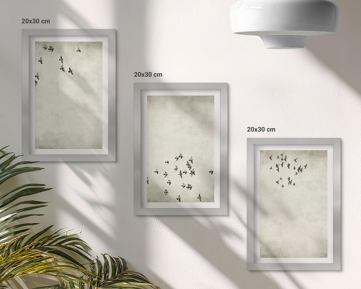 BILDER SET 3er Set - 20x30 cm Silberner Rahmen - Minimalistische Vogelmalerei - Silberfarben, Kunststoff (20/30cm) - TULUP