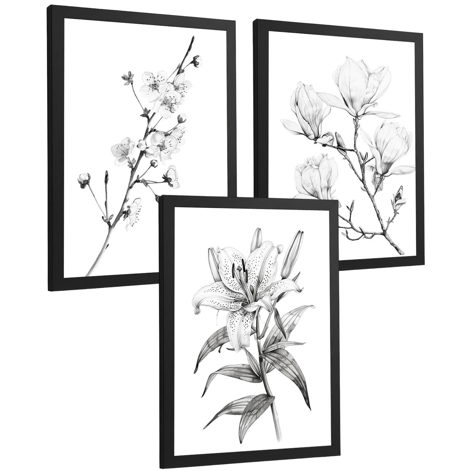 PLAKAT Sada 3 obrázků květin. Dekorativní nástěnné tisky Květiny tužkou. botanický plakát na zeď. Noridco květinové malby.Černý rám velikosti A3 - černá, papír (29.7/42/3cm)