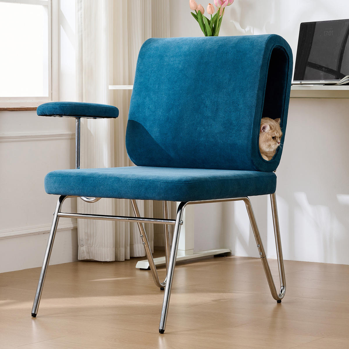 STUHL 77x70x89 cm mit integrierter Katzenhöhle, kratzfester blauer Stoffbezug - Blau, Holz (70/89/77cm) - Modfu