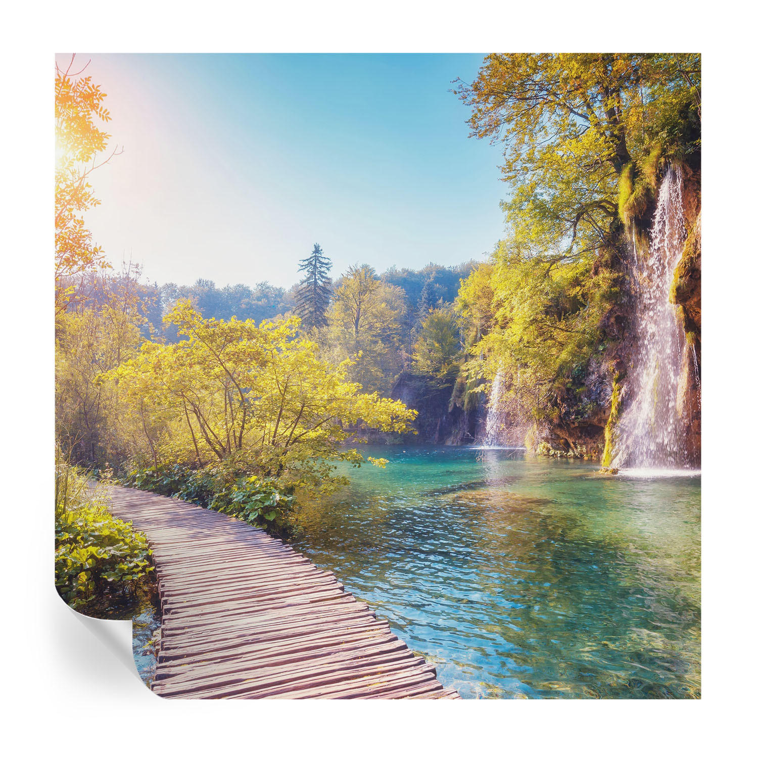 FOTOTAPETE 250x250 cm - Naturlandschaft - Grün, Textil (250/250cm) - Wallfluent