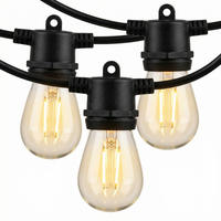 LICHTERKETTE mit Fernbedienung Schwarz 16,8 m - Schwarz, Kunststoff (1680cm) - HOMCOM