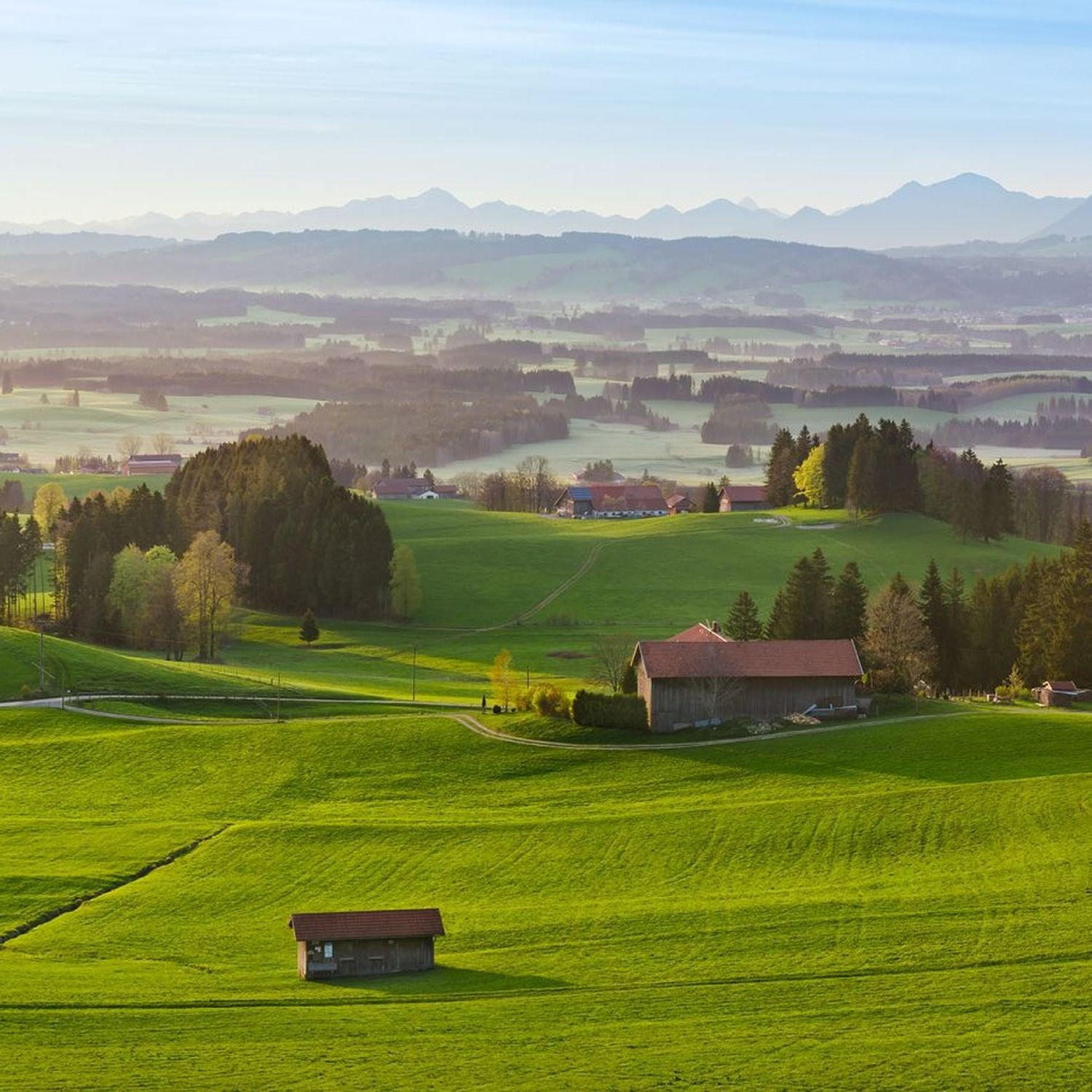 FOTOTAPETE Landschaft 450 x 280 cm - Grün, Papier (450/280cm) - Sanders & Sanders