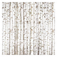 FOTOTAPETE No.YK15 Birkenwand 240/240 cm - Weiß, Papier (240/240cm) - Bilderwelten