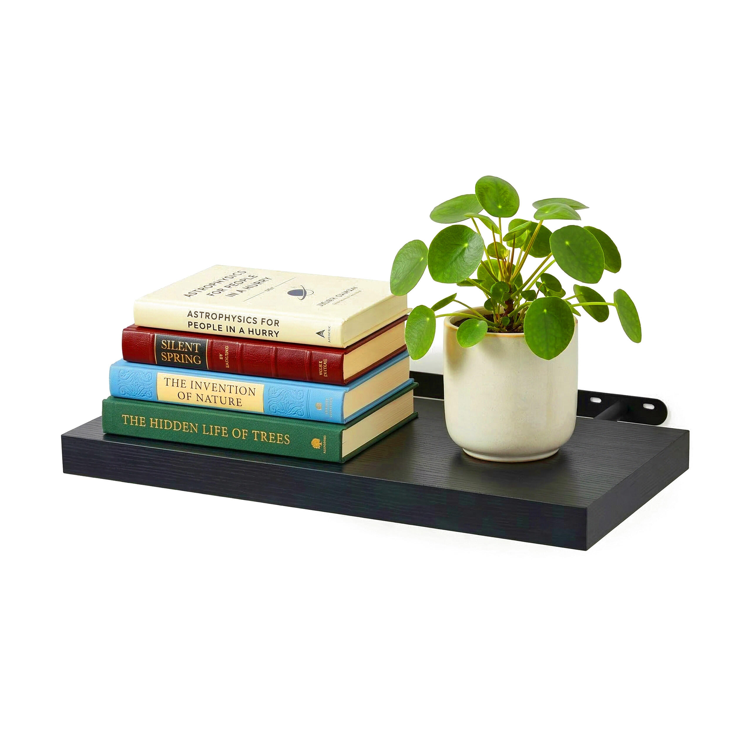 NÁSTENNÁ pol. - čierna, kov/kompozitné drevo (40/4/23cm) - Relaxdays