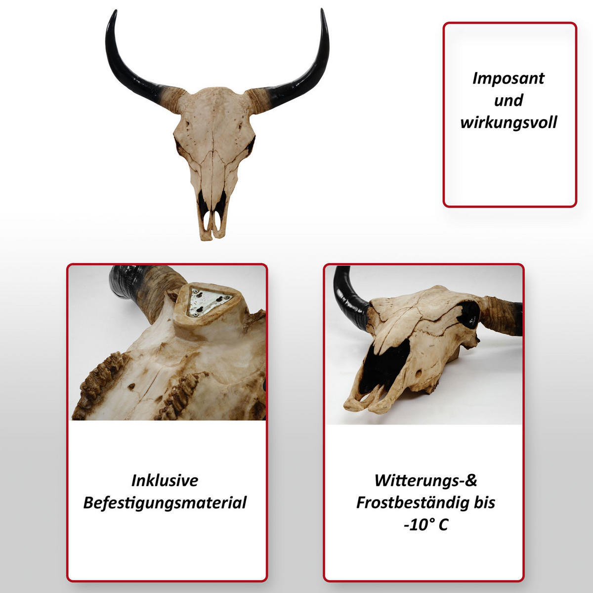 DEKO SCHÄDEL LONGHORN Beige - Beige, Stein (64/64/21cm) - MCW