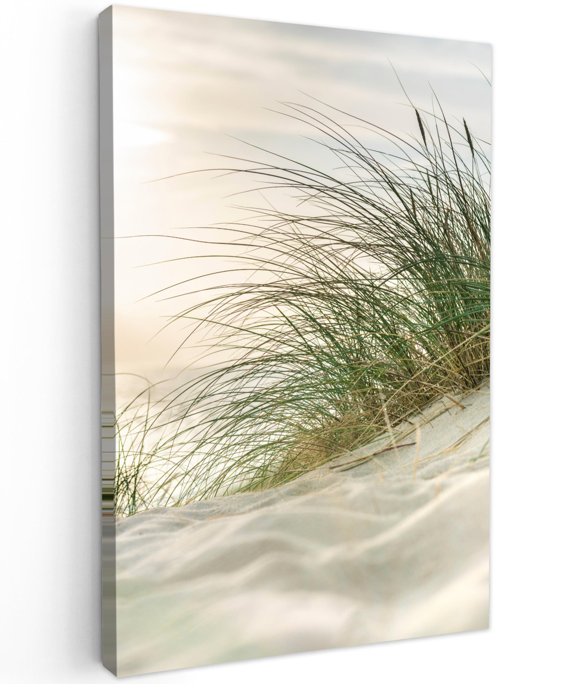 MuchoWow OBRAZ NA PLÁTNĚ Duny s bahenní trávou pod sluncem v německém národním parku Schleswig-Holsteinisches Wattenmeer 40x60 cm