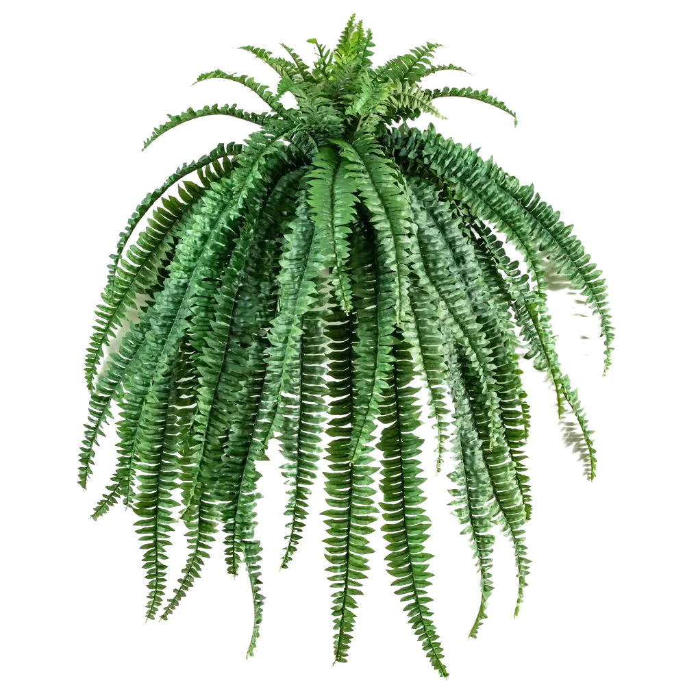 KUNSTPFLANZE Künstliche Hänge-Farn - Carolin 105 cm - Grün, Kunststoff (105cm) - aplanta