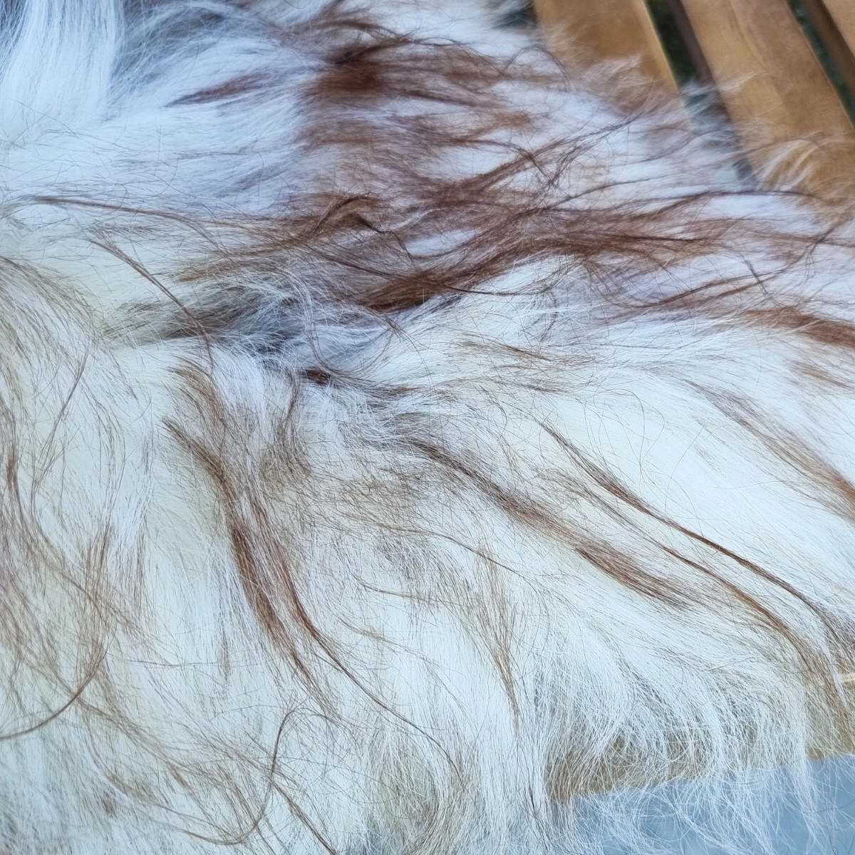 SCHAFFELL Langhaar skandinavisch weich chromfrei Braun geflammt ca. 125 cm - Braun, Fell (70/125cm) - Provellus