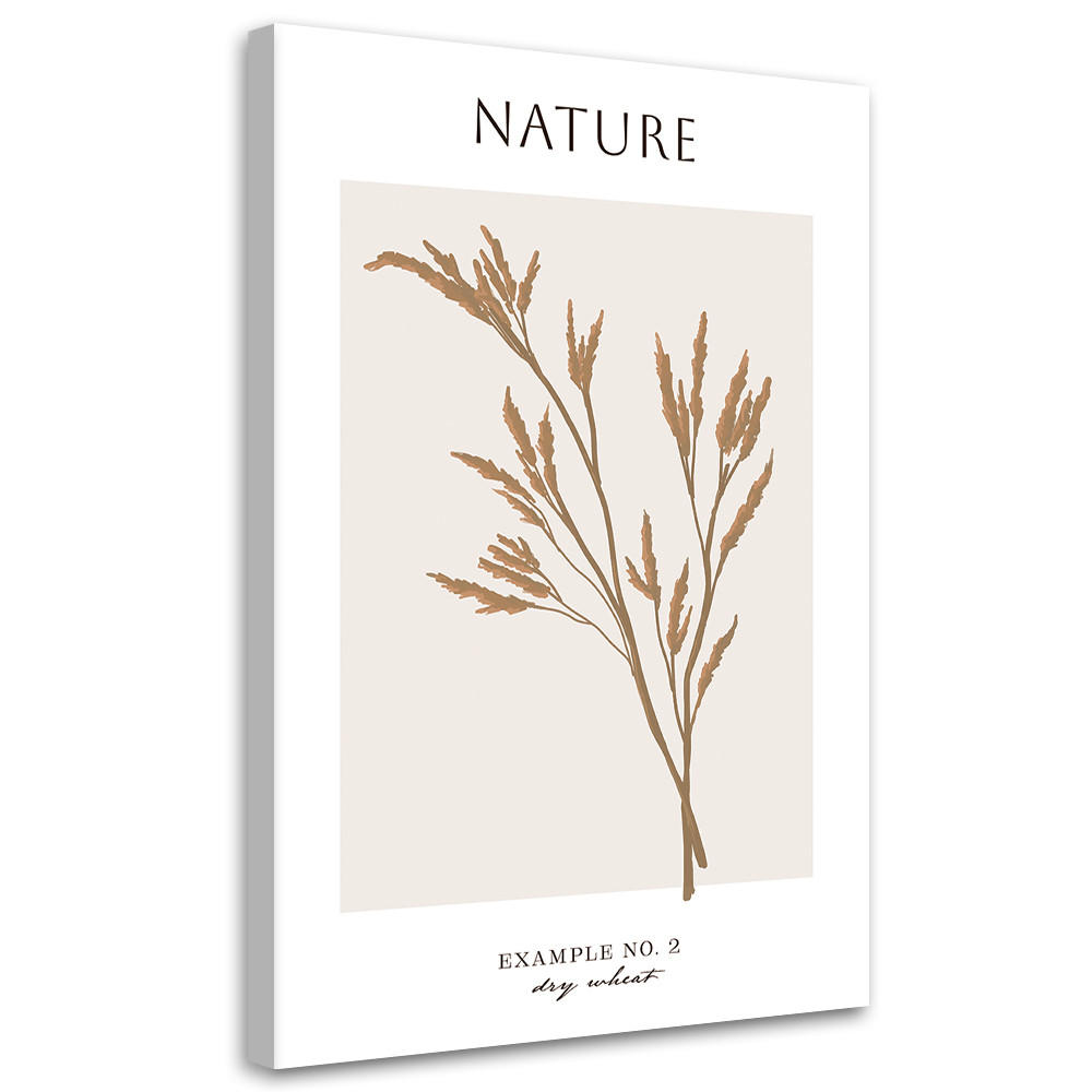 WANDBILD trockener weizen natur - Beige, Textil (40/60cm) - Feeby