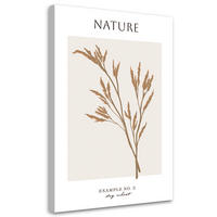 WANDBILD trockener weizen natur - Beige, Textil (40/60cm) - Feeby