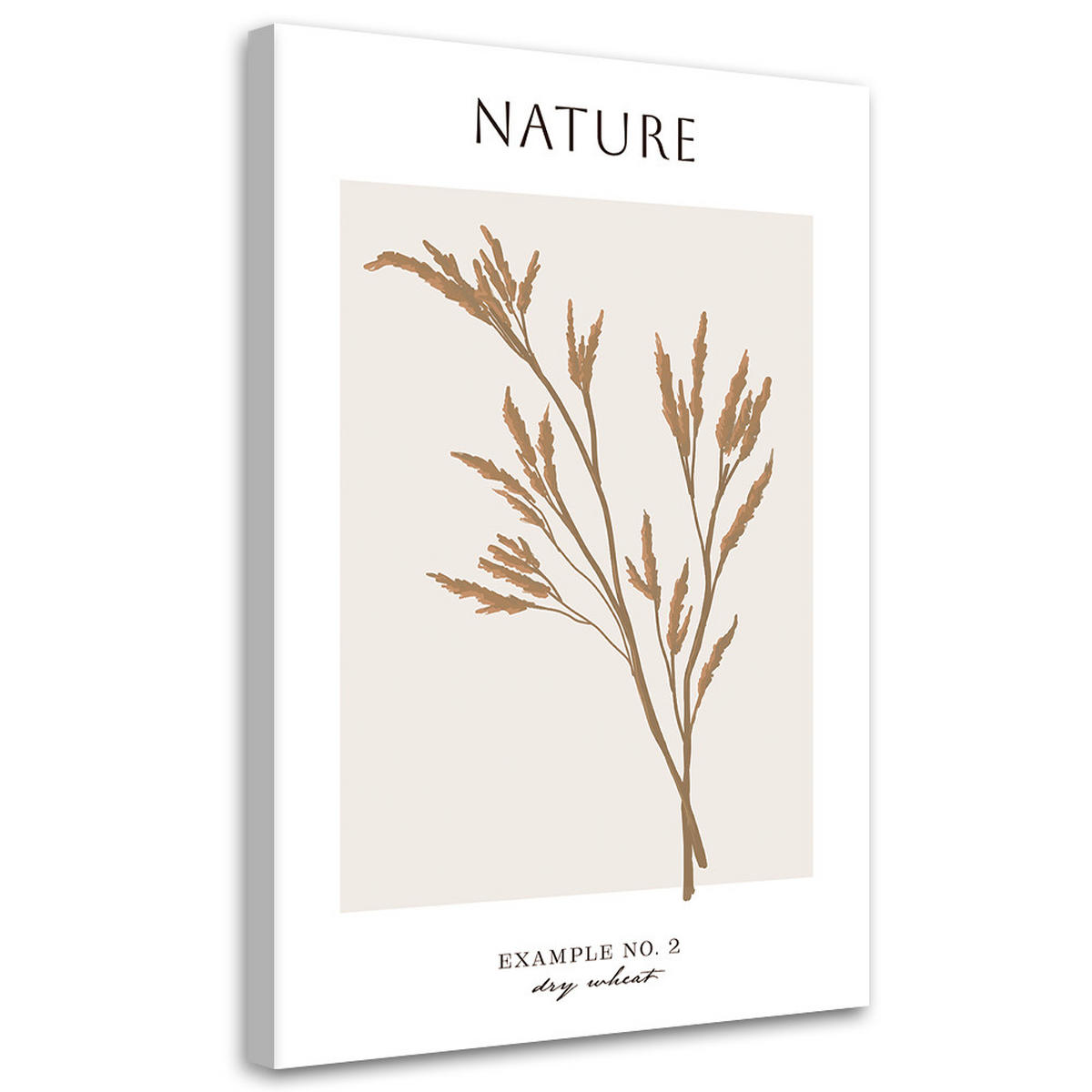 WANDBILD trockener weizen natur - Beige, Textil (40/60cm) - Feeby