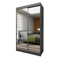 SCHWEBETÜRENSCHRANK BELLINA 120/216/61 cm 2-türig mit Spiegel Grau - Grau, Holzwerkstoff (120/216/61cm) - MASSENO