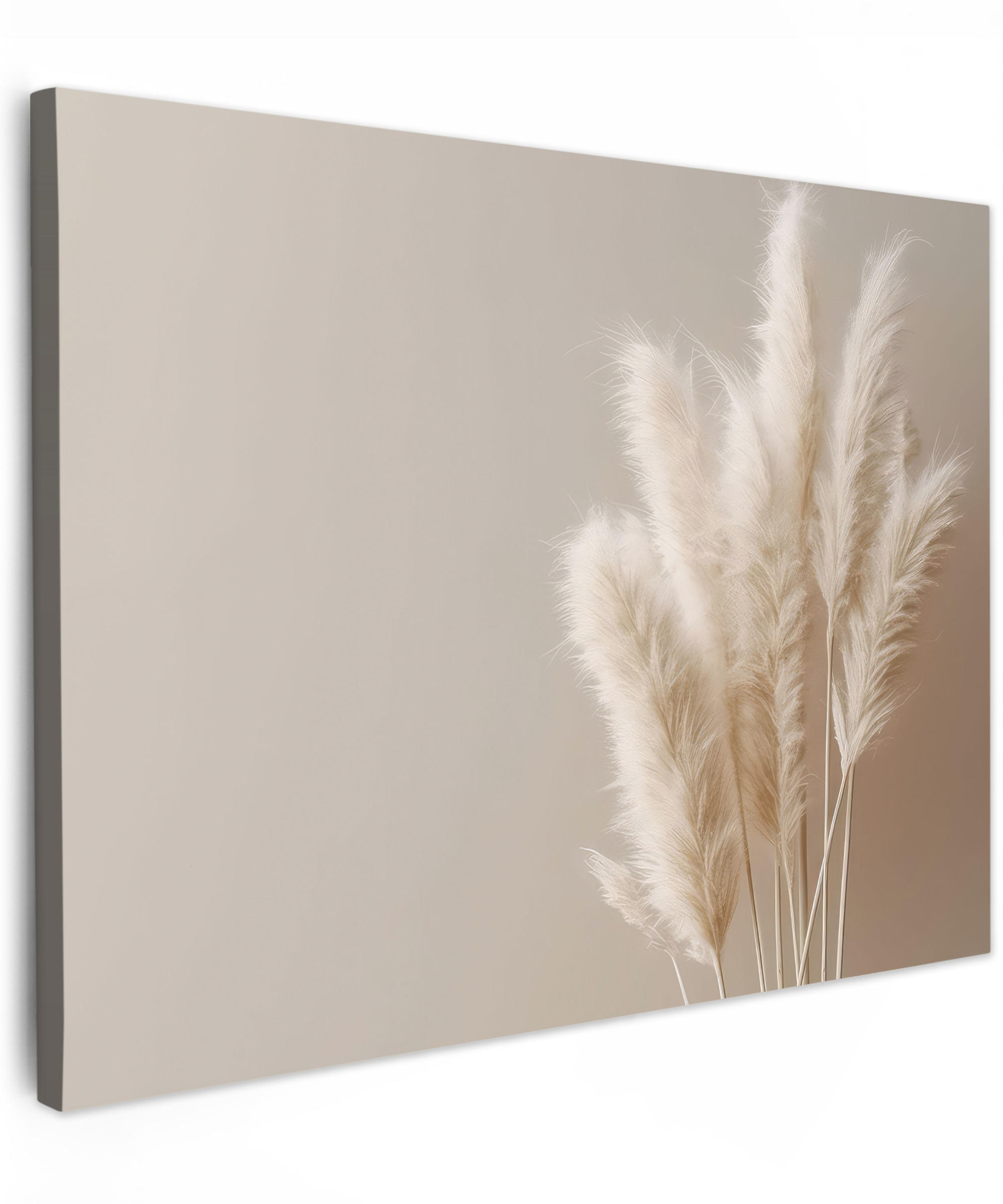 MuchoWow OBRAZ NA PLÁTNĚ Pampová tráva - Plumes - Pastelová - Bílá 80x60 cm