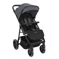 BUGGY Lucy Gurt grau Rückenlehne verstellbar Federung Hinterradbremse - Grau, Metall (74/54/104cm) - Kikka boo