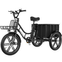 E-BIKE EGO 03S 48V 18Ah großer Front und Heckkorb, max. Zuladung 125 kg - Schwarz, Metall (66cm) - ELEKGO