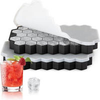 EISWÜRFELFORM 2er-Set Silikon mit Deckel Schwarz - Schwarz, Kunststoff (13/5/21cm)