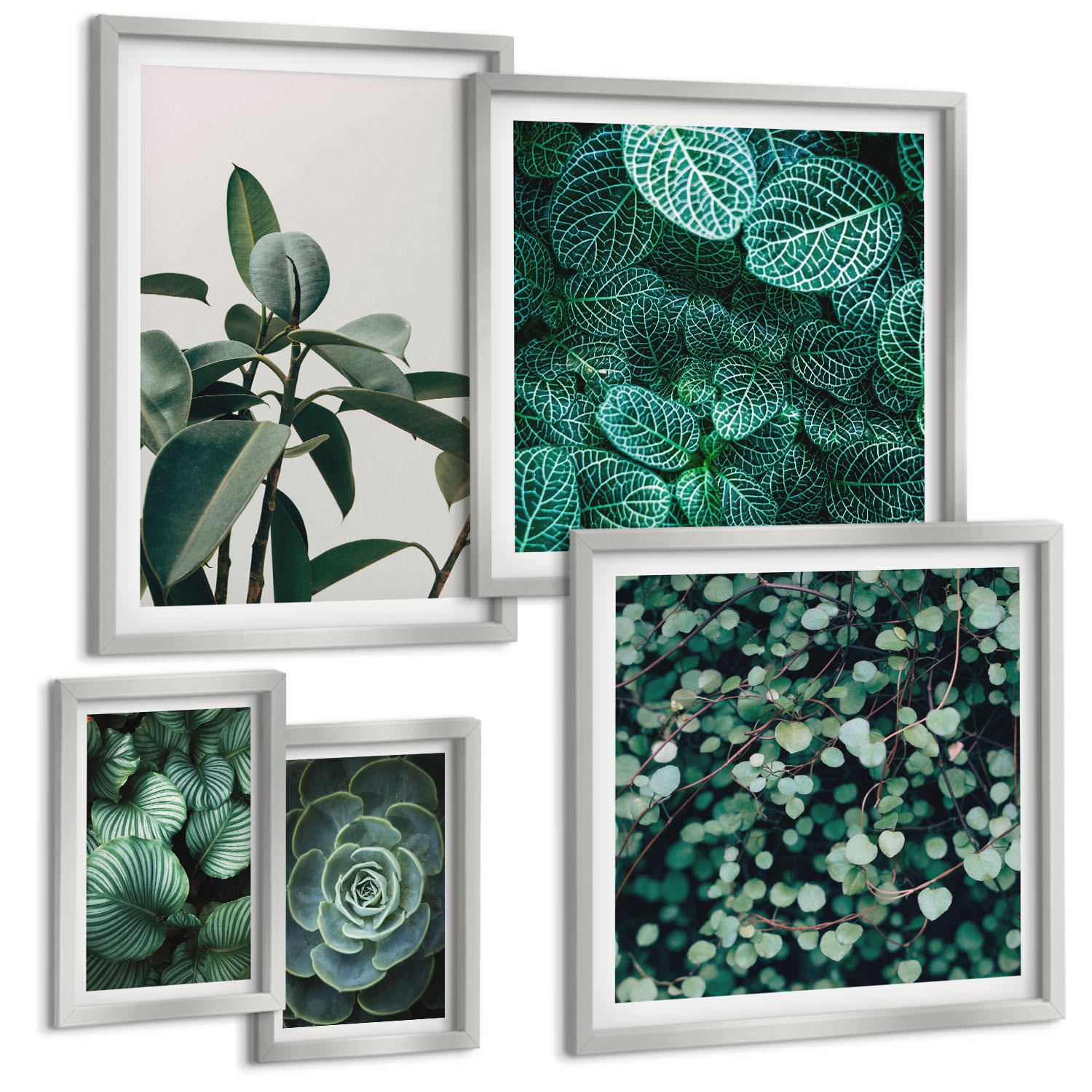 BILDER SET 5er Set - 50x50 cm & 20x30 cm & 40x60 cm Silberner Rahmen - Grüne Wälder, kristallklares Wasser - Silberfarben, Kunststoff (40/60cm) - TULUP