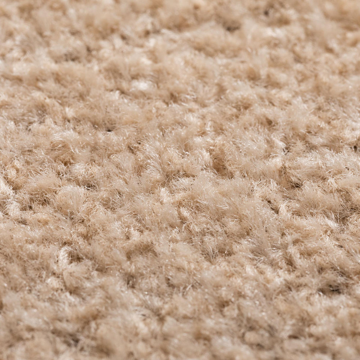 TEPPICHBODEN 300/800 cm Cambridge Young - Beige, Textil (800/300/1cm) - Steffensmeier