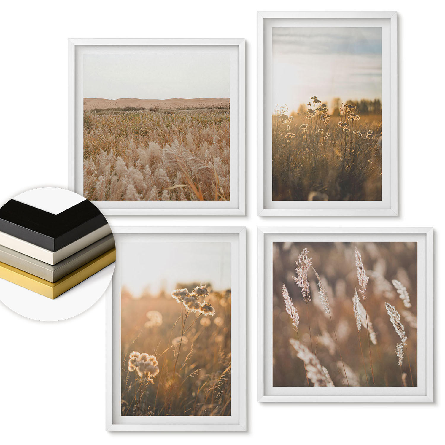 WANDBILDER 4er-Set - 50x50 cm & 40x60 cm Weißer Rahmen - Sommerwiesenblumen Sonnenuntergang - Weiß, Kunststoff (50/50cm) - ArtPrintCave