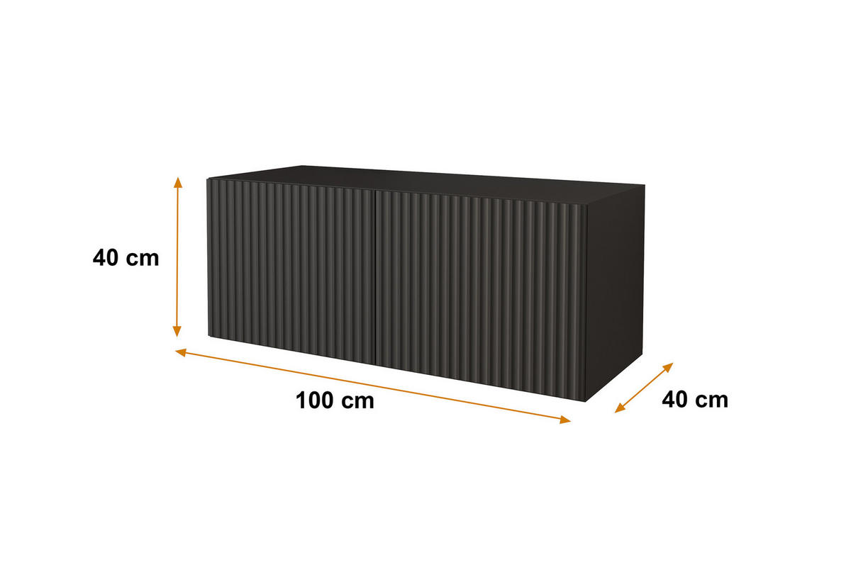 LOWBOARD NOA-2-W 100x40x40 cm - Schwarz - Schwarz, Holzwerkstoff (100/40/40cm) - ALTDECOR