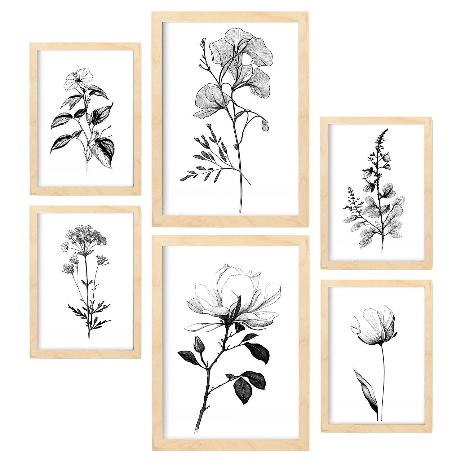 POSTER Set Mit 6 Üppige Blumen Natur Und Botanikdrucke Mit Blumenmotiven In Klassischem Schwarz Und Weiß A3 & A4 Rahmen Aus Hellem Holz - Beige, Papier (29/3cm) - Nacnic