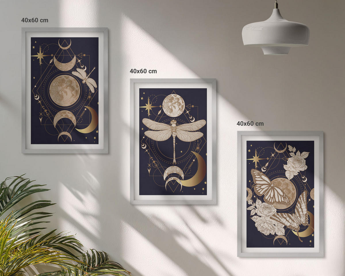 BILDER SET 3er Set - 40x60 cm Silberner Rahmen - Naturmotive Mondblumen - Silberfarben, Kunststoff (40/60cm) - TULUP