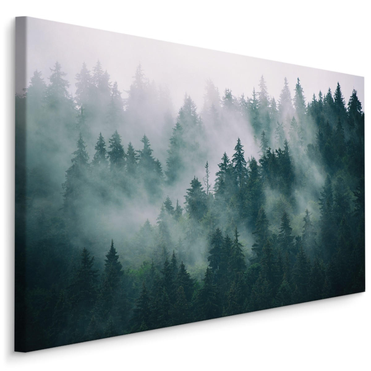 LEINWANDBILD Wald im Nebel Natur Landschaft 3D 100x70 - Schwarz/Weiß, Textil (100/70cm) - Muralo
