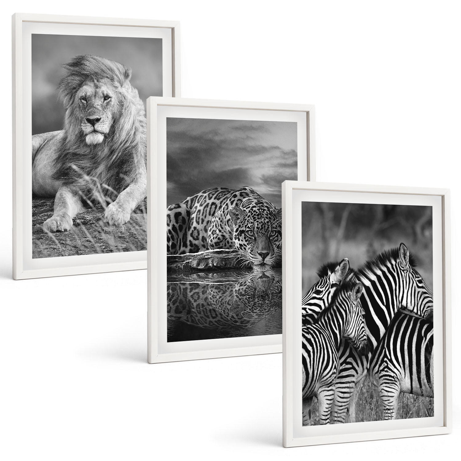 BILDER SET 3er Set - 40x60 cm Weißer Rahmen - Wildtiere der Savanne - Weiß, Kunststoff (40/60cm) - TULUP