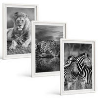 BILDER SET 3er Set - 40x60 cm Weißer Rahmen - Wildtiere der Savanne - Weiß, Kunststoff (40/60cm) - TULUP