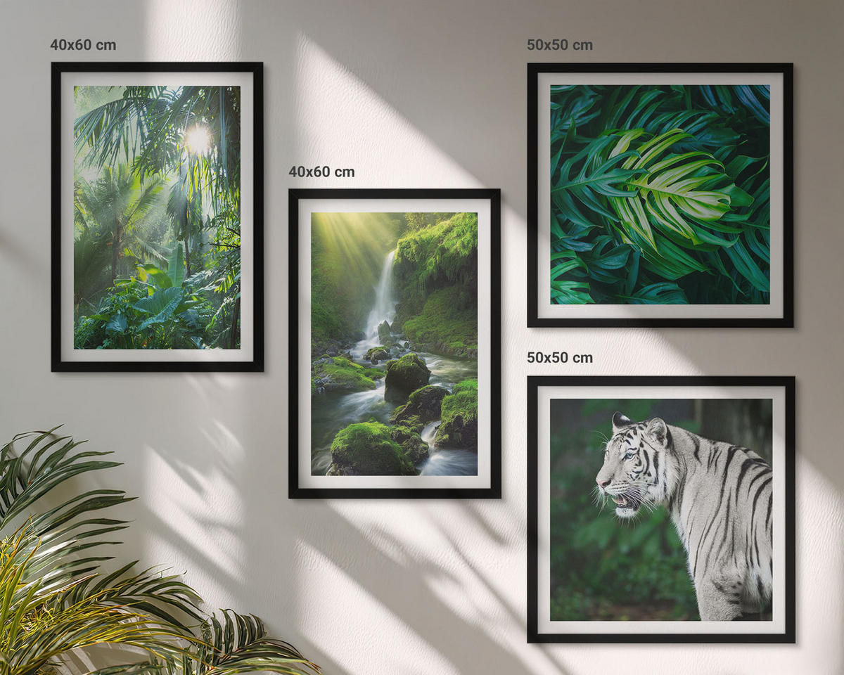 BILDER SET 4er Set - 50x50 cm & 40x60 cm Schwarzer Rahmen - Dschungel-Weißtiger-Wasserfall - Schwarz, Kunststoff (50/50cm) - TULUP