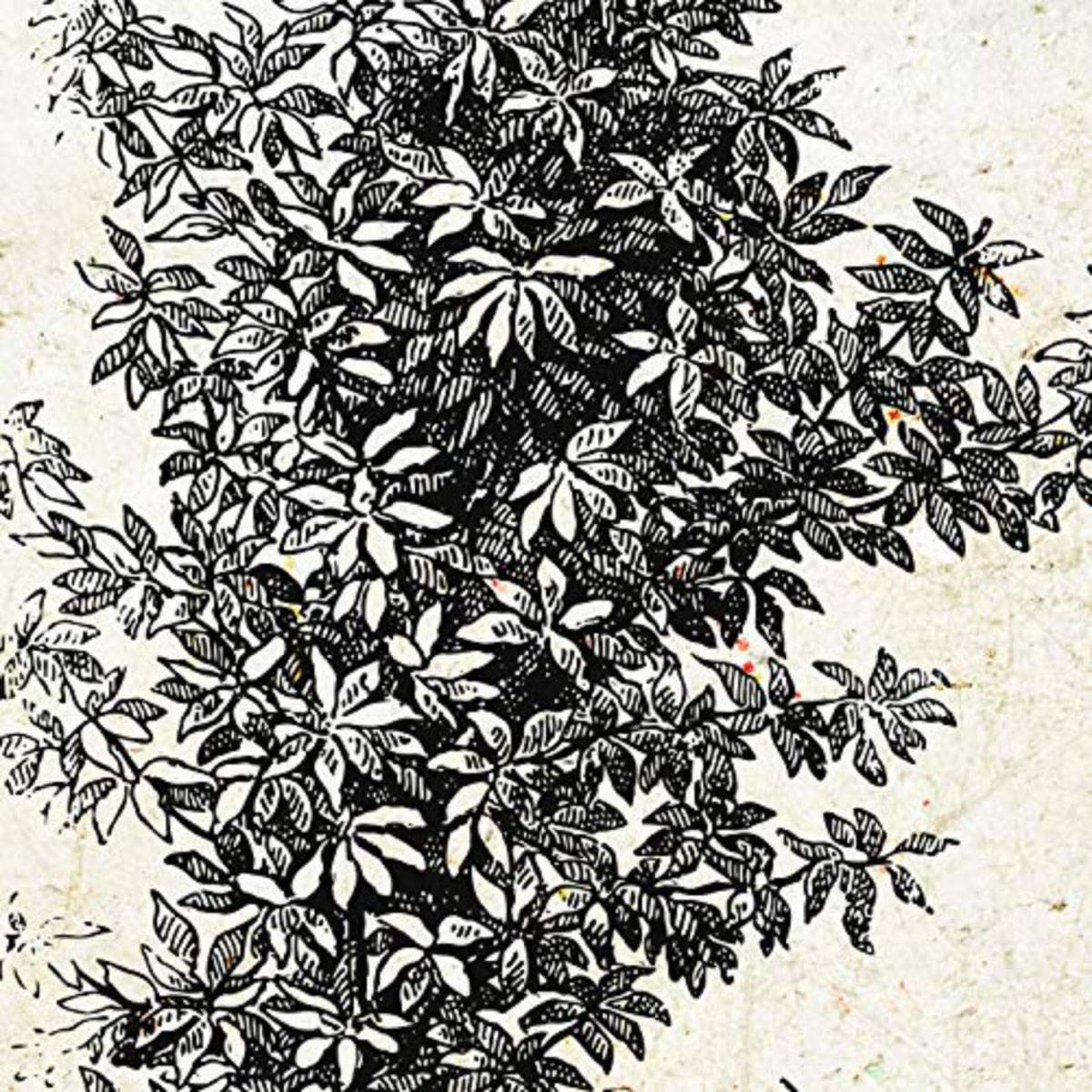 POSTER Set mit 4 Bädern Bäume miese Zweige Weinlese Altpapierhintergrund 20x20cm Rahmenlos - Klar, Papier (20/3cm) - Nacnic