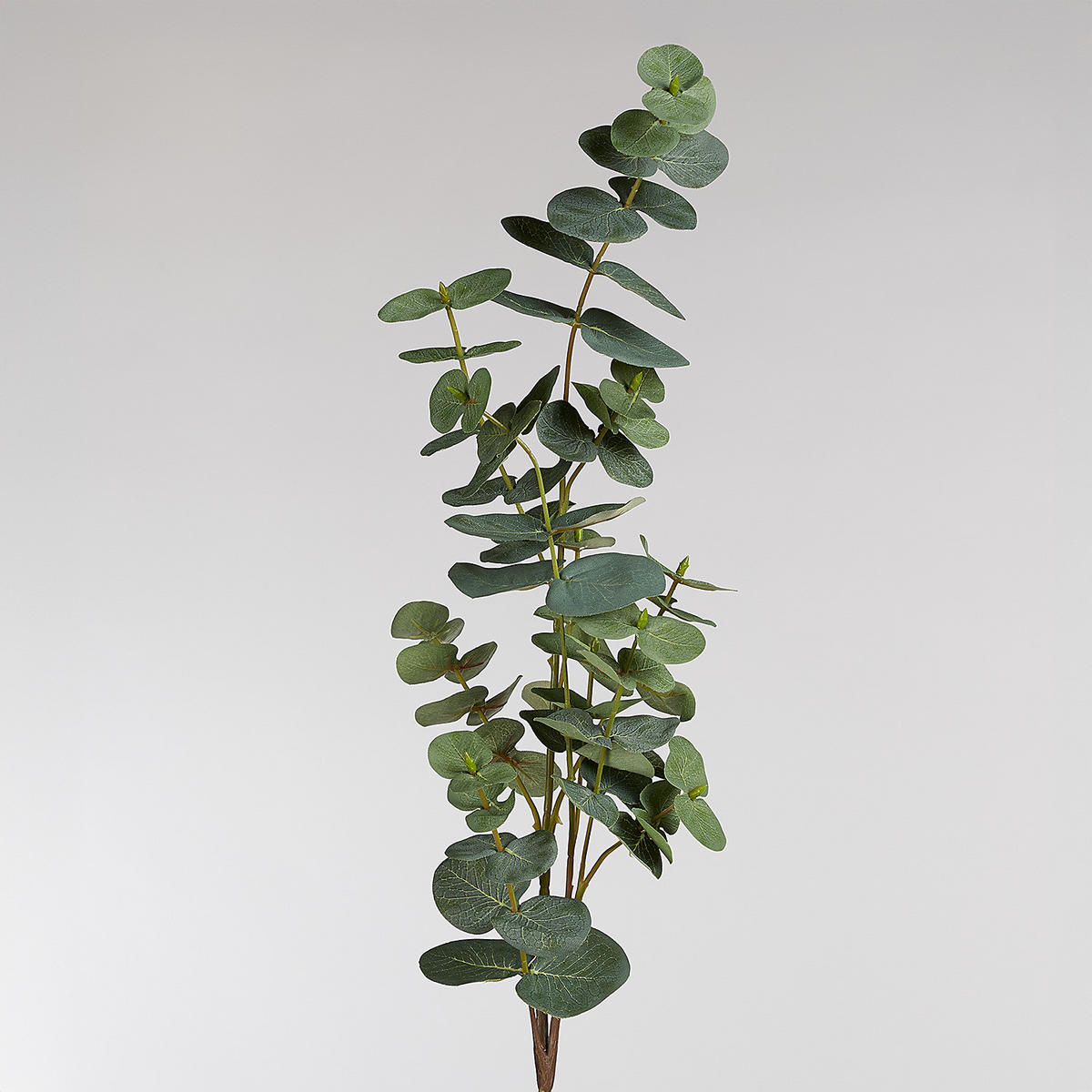 KUNSTBLUME (6er Set) Florista - Grün, Kunststoff (88cm) - Butlers