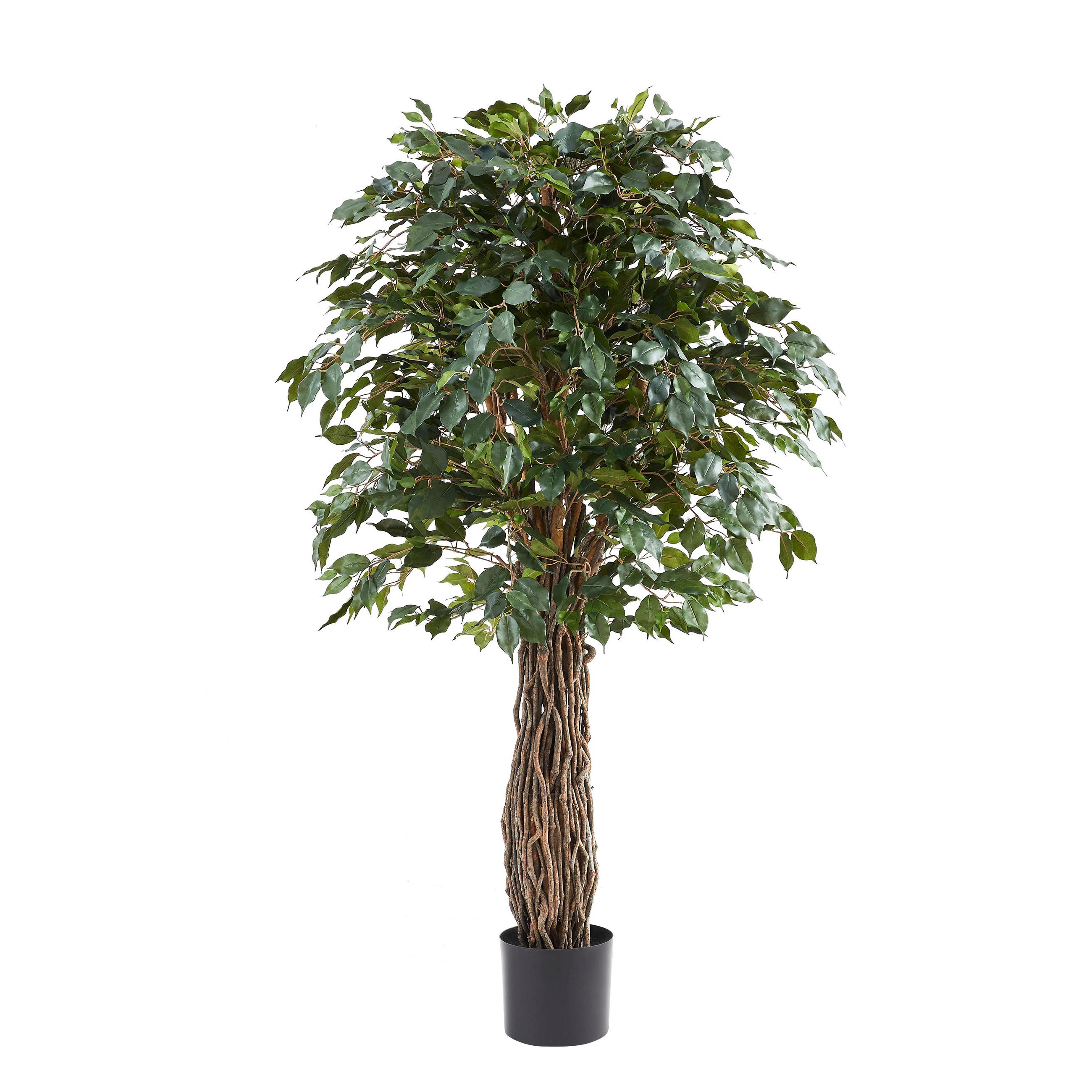 KUNSTBAUM Künstlicher Ficus – Amadior 180 cm - Grün, Kunststoff (180cm) - aplanta